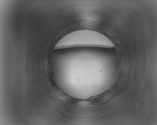 X0000073700283200608031022