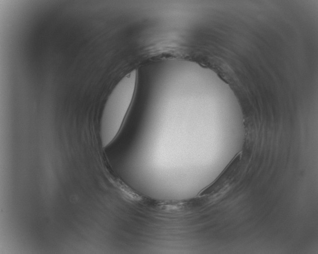 X0000073700285200608031022