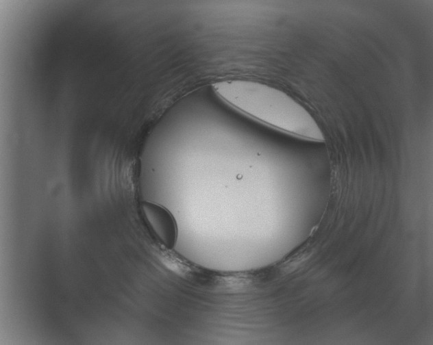 X0000073700286200608031022