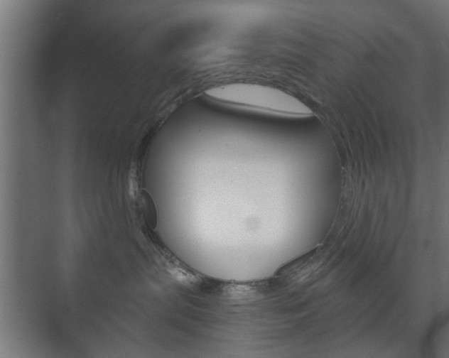 X0000073700287200608031022