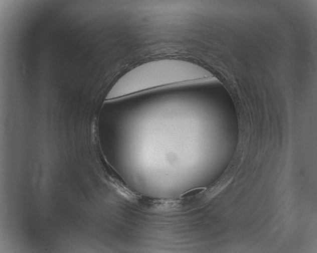 X0000073700288200608031022