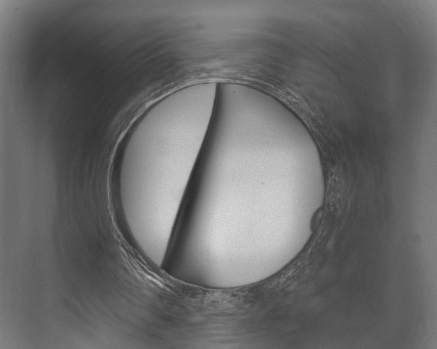 X0000073700290200608031022