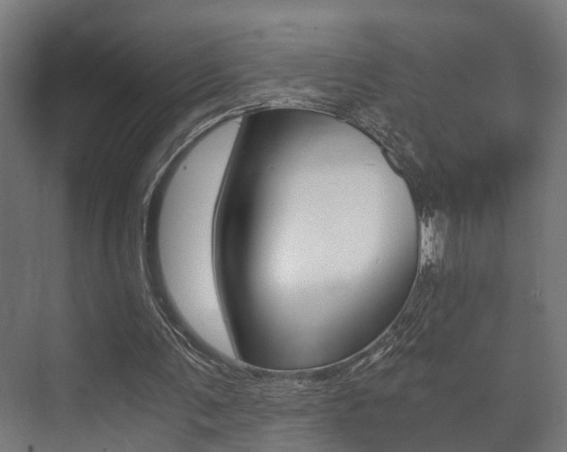 X0000073700291200608031022