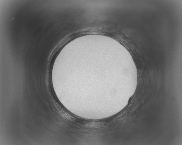 X0000073700293200608031022