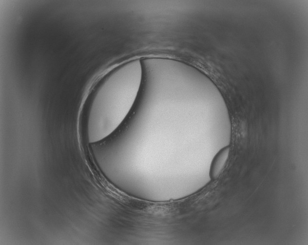 X0000073700294200608031022