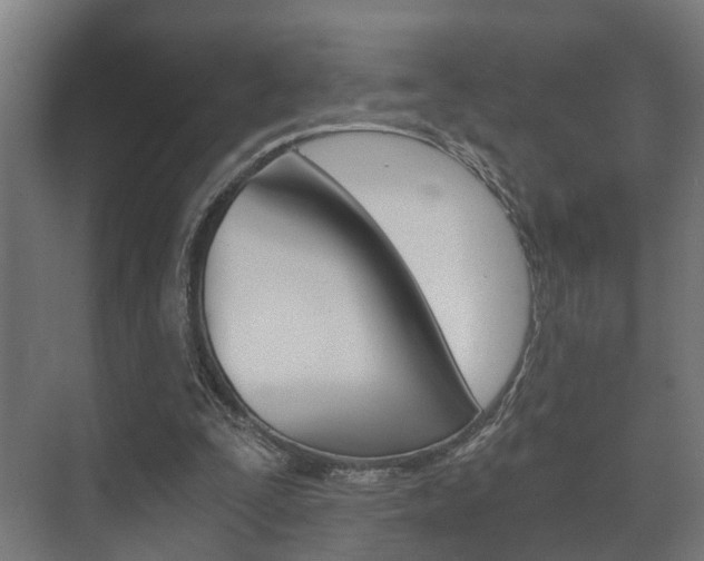 X0000073700295200608031022