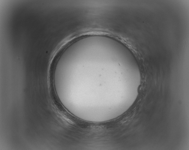 X0000073700296200608031022