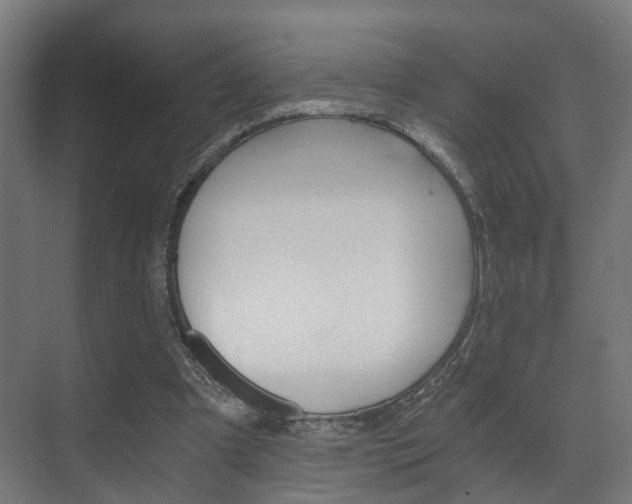 X0000073700297200608031022