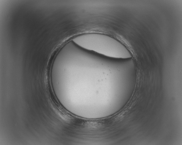 X0000073700298200608031021