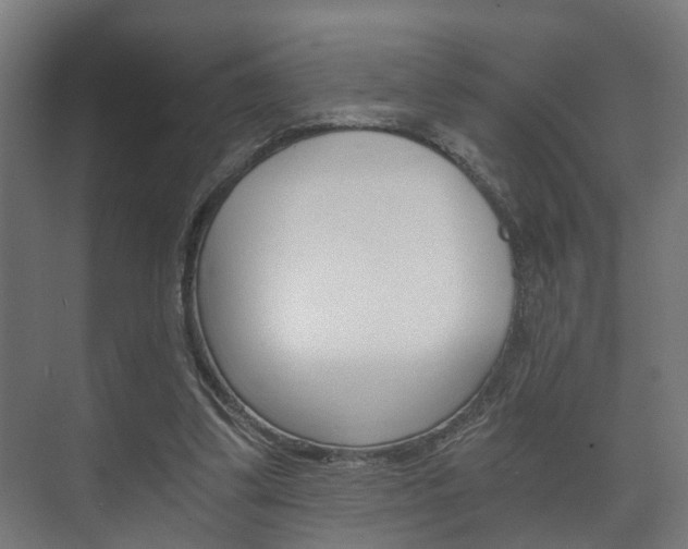 X0000073700299200608031021