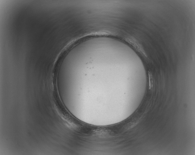 X0000073700300200608031021