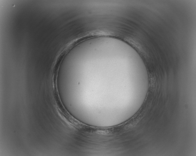 X0000073700302200608031021