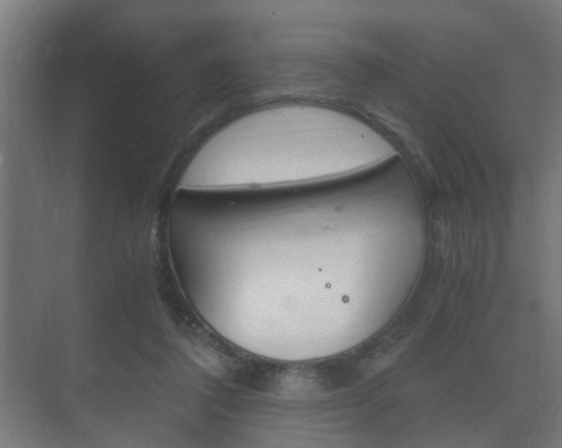 X0000073700308200608031021