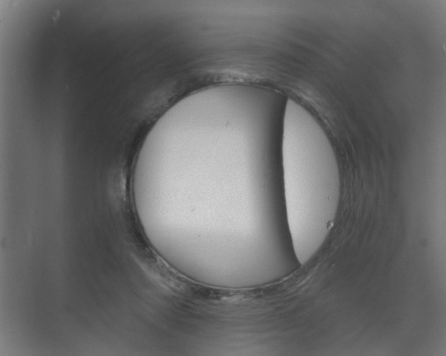 X0000073700310200608031021