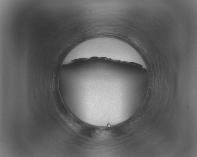 X0000073700311200608031021