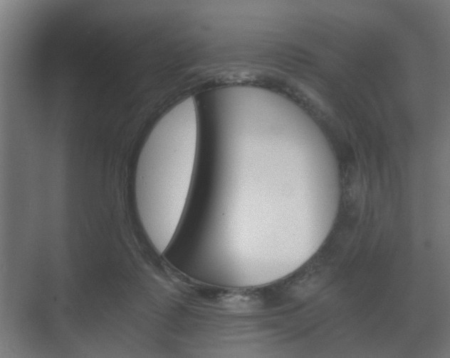 X0000073700315200608031021