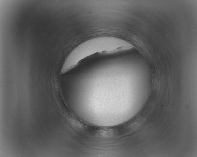 X0000073700317200608031021