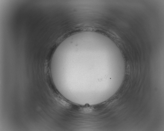 X0000073700318200608031021