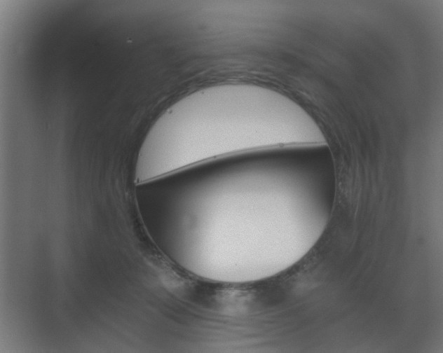 X0000073700319200608031021