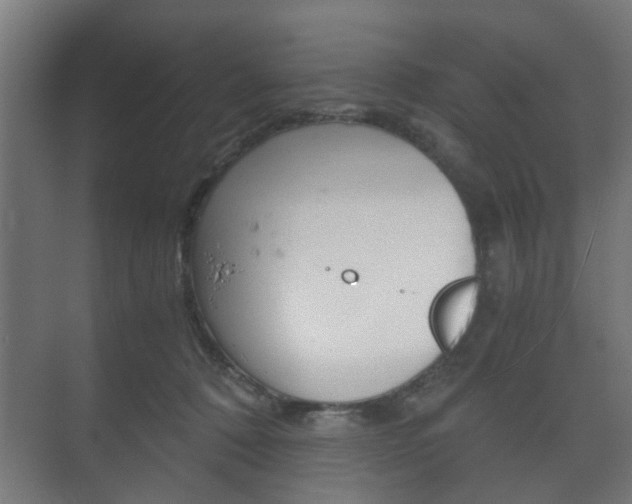 X0000073700320200608031021