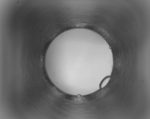 X0000073700321200608031021