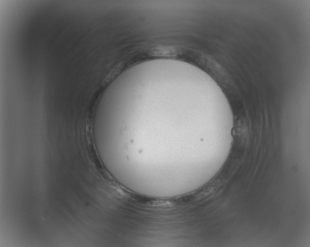 X0000073700322200608031021