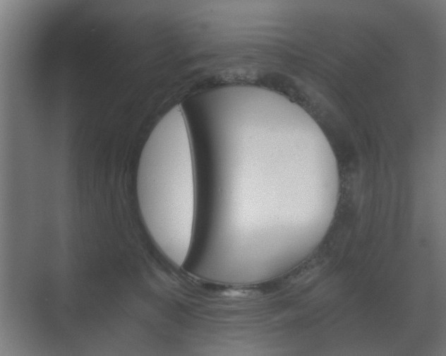 X0000073700323200608031021