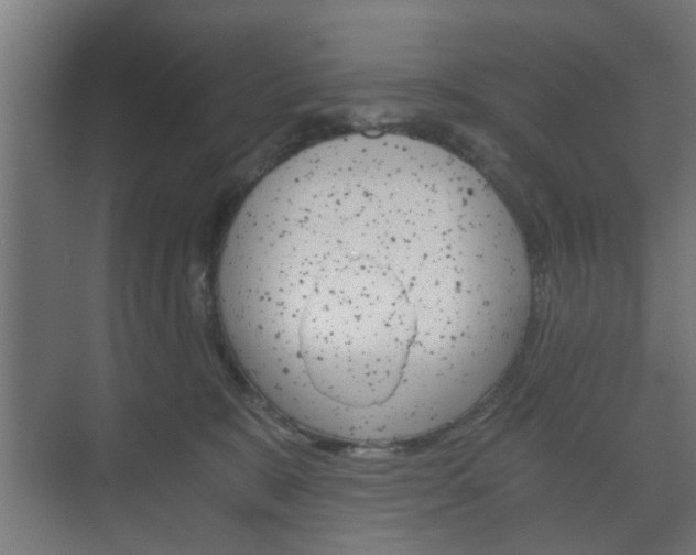 X0000073700327200608031021