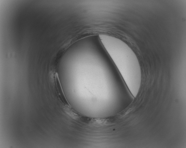 X0000073700329200608031021