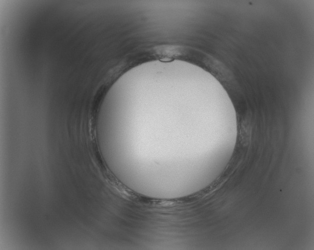 X0000073700330200608031021