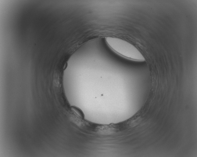 X0000073700331200608031021