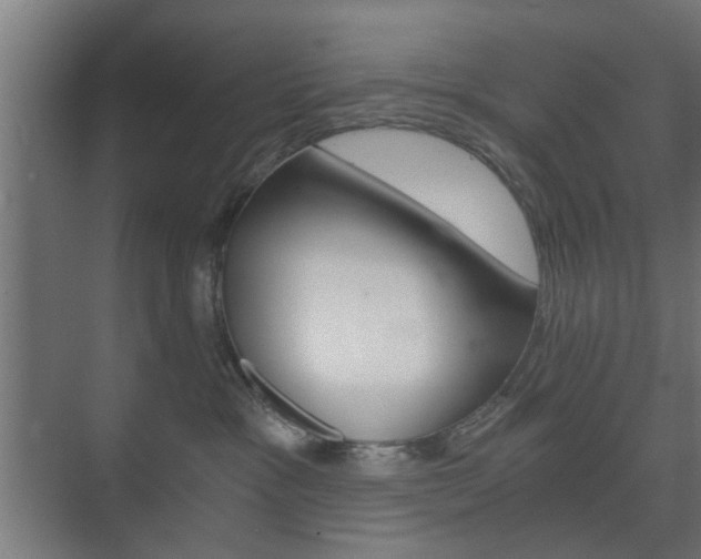 X0000073700333200608031021