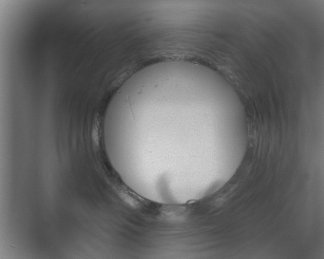 X0000073700334200608031021