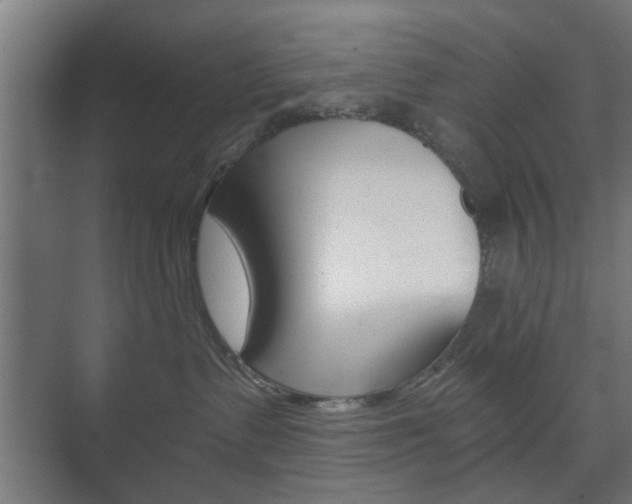 X0000073700335200608031021