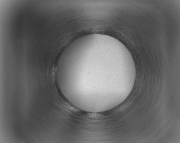 X0000073700336200608031021