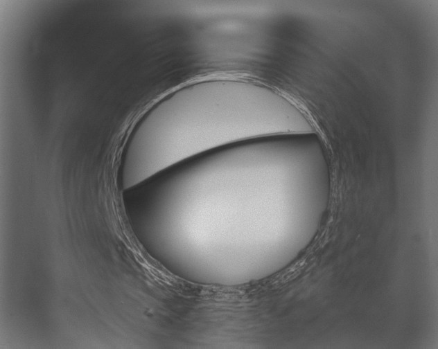 X0000073700337200608031020