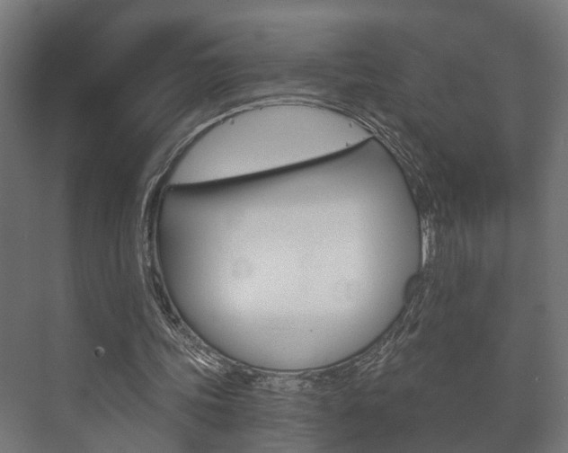 X0000073700339200608031020