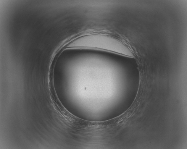 X0000073700340200608031020