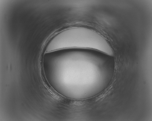 X0000073700341200608031020