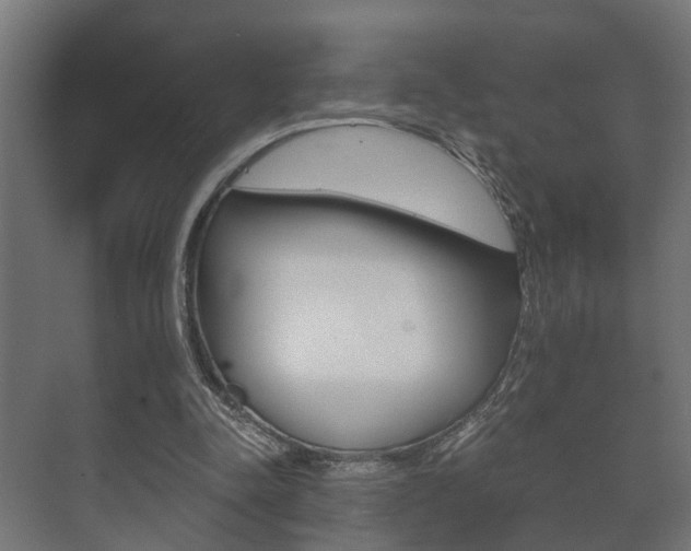 X0000073700342200608031020