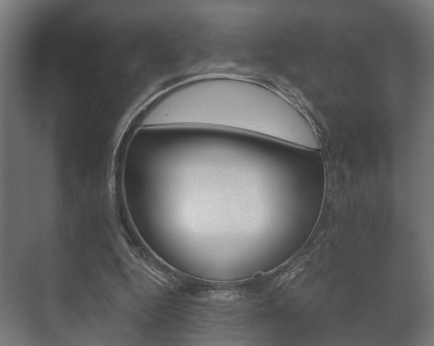 X0000073700344200608031020