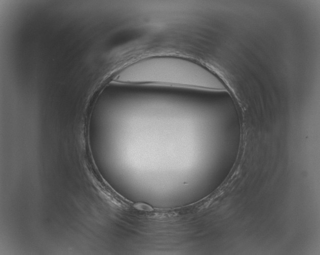 X0000073700345200608031020