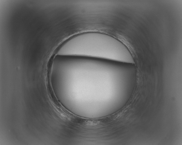 X0000073700346200608031020