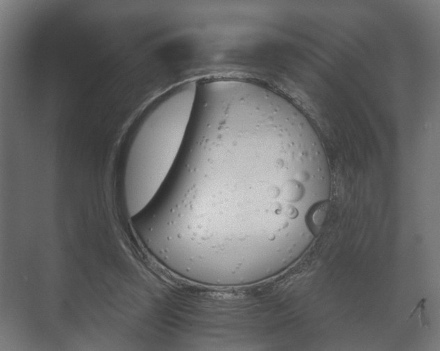 X0000073700347200608031020