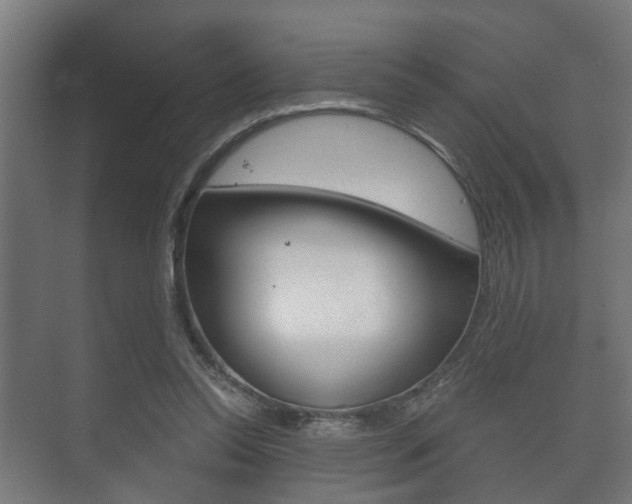 X0000073700350200608031020