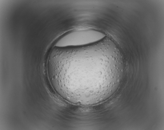 X0000073700351200608031020