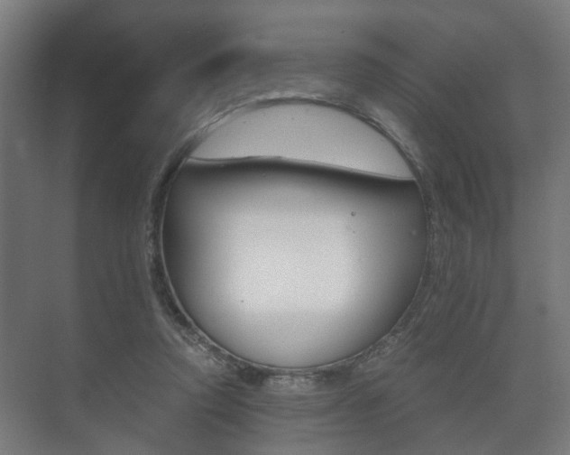 X0000073700354200608031020