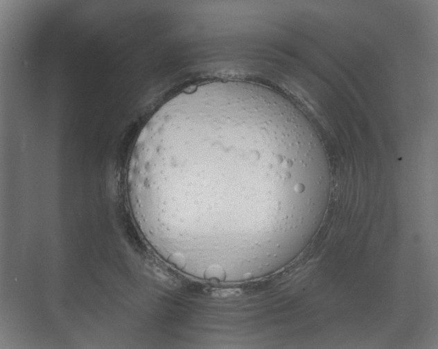 X0000073700355200608031020