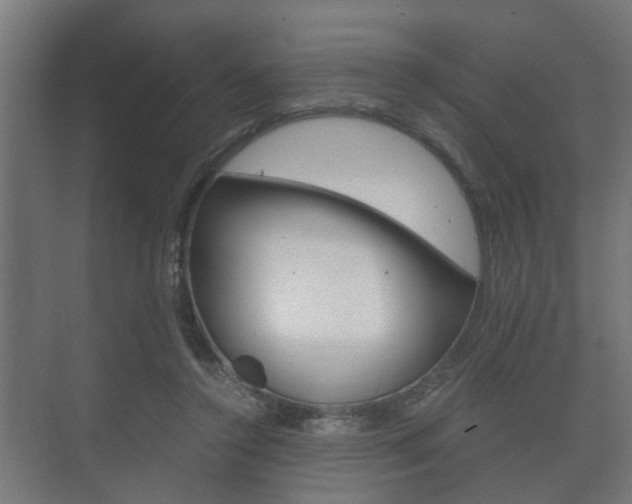 X0000073700356200608031020