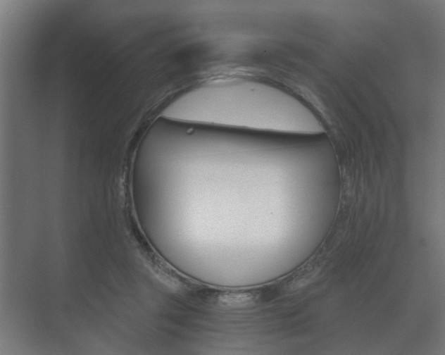 X0000073700357200608031020